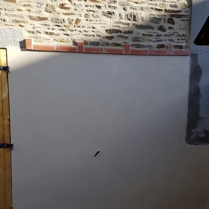 after-image